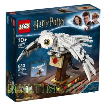 Конструктор LEGO Harry Potter 75979 Букля